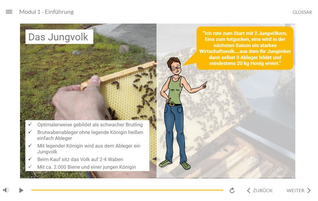 Odoo Text- und -Bildbaustein