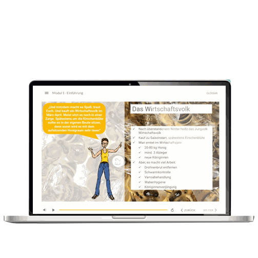 Odoo Text- und -Bildbaustein