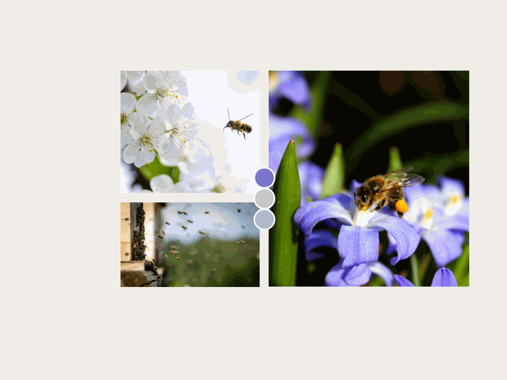 Odoo-Bild für Slider